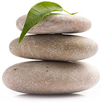 Proactive health & Wealth Solutions Ltd.